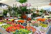 Fleuriste